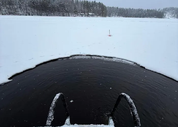 Honkarinne On The Shores Of Kallajaervi * Mäntyharju