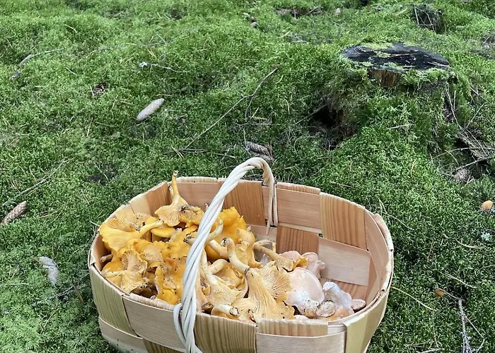 别墅 Honkarinne On The Shores Of Kallajaervi *